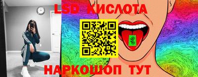 шишки Аргун