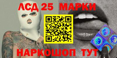 шишки Аргун