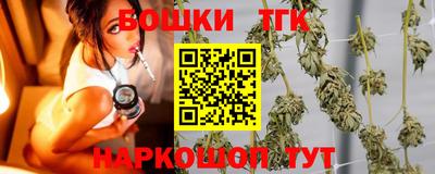 шишки Аргун