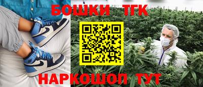шишки Аргун