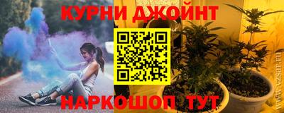 шишки Аргун