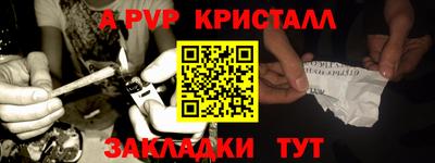 шишки Аргун