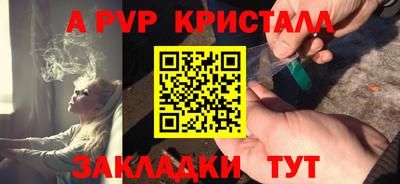 шишки Аргун