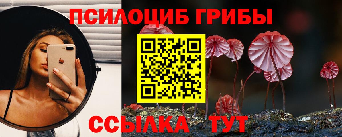 Псилоцибиновые грибы мицелий Аргун